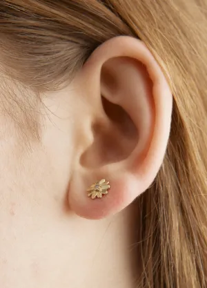 Cassandra Studs