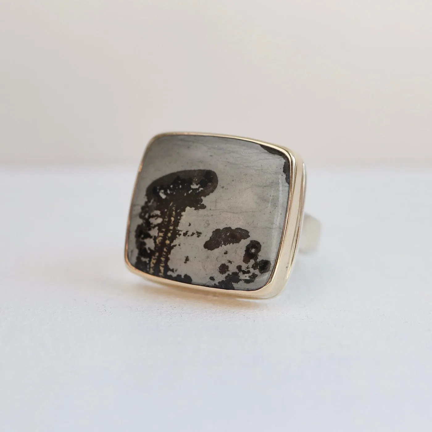 Jamie Joseph Rectangular Picture Jasper Ring