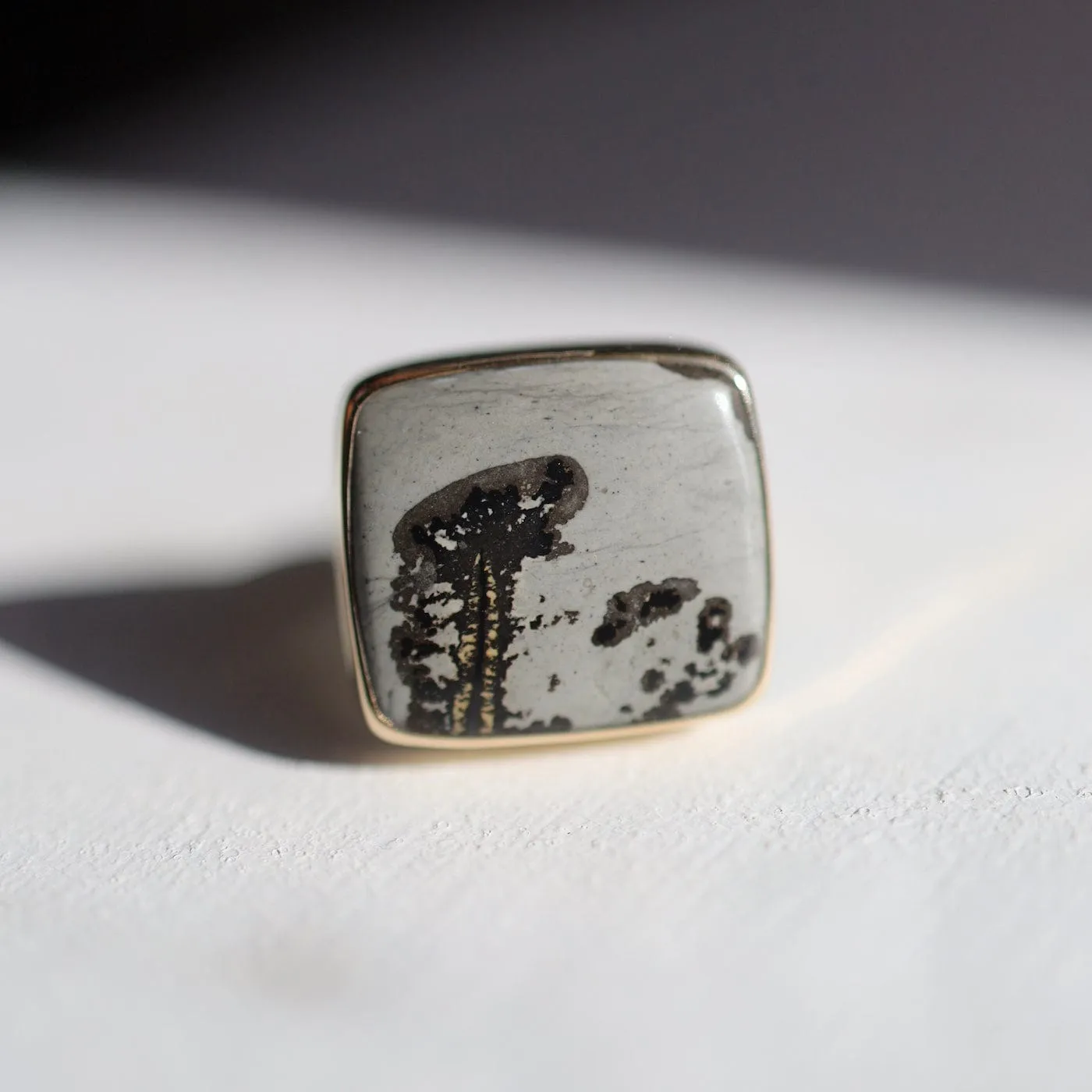 Jamie Joseph Rectangular Picture Jasper Ring