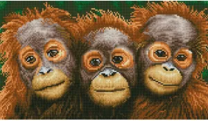 Oranging Around - Diamond Painting Artwork