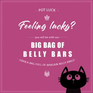 The Big BAG of POTLUCK !!